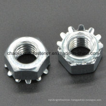 High Quality Keps Nut (CZ094)